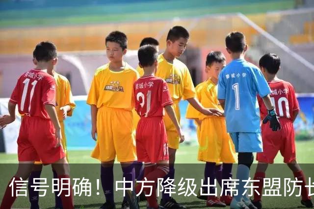 信号明确！中方降级出席东盟防长扩大会，专家：责任完全在菲律宾