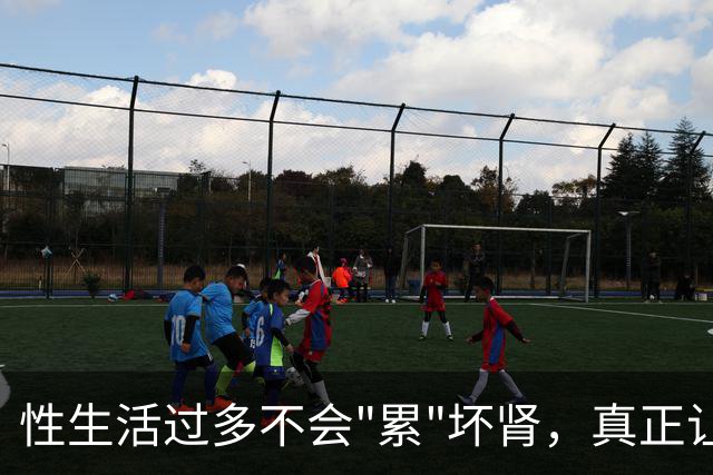 性生活过多不会"累"坏肾，真正让肾报废的事可能每天都在做