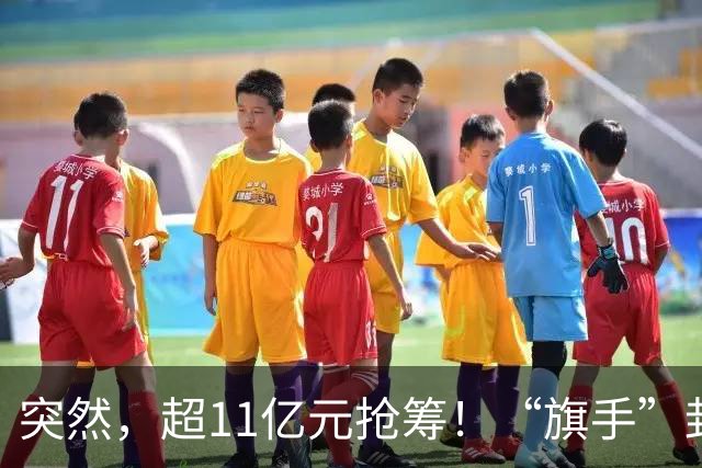 突然，超11亿元抢筹！“旗手”封死涨停，发生了什么？