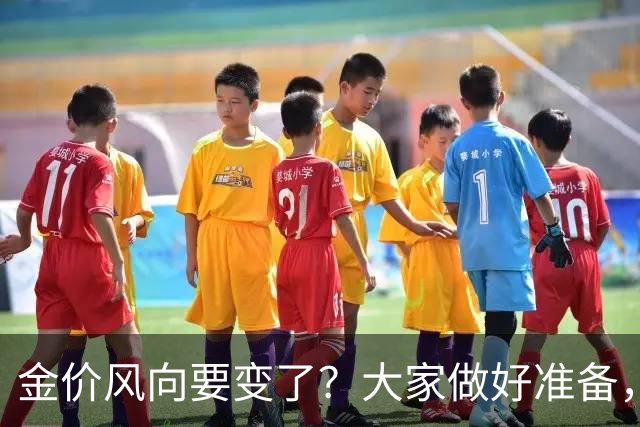 金价风向要变了？大家做好准备，2027年开始，金价或将迎更大调整